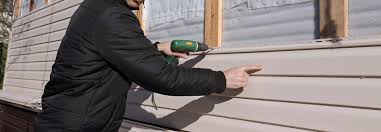 Best Custom Trim and Detailing for Siding  in Riverton, IL